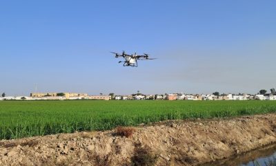 Virus del Nilo drones