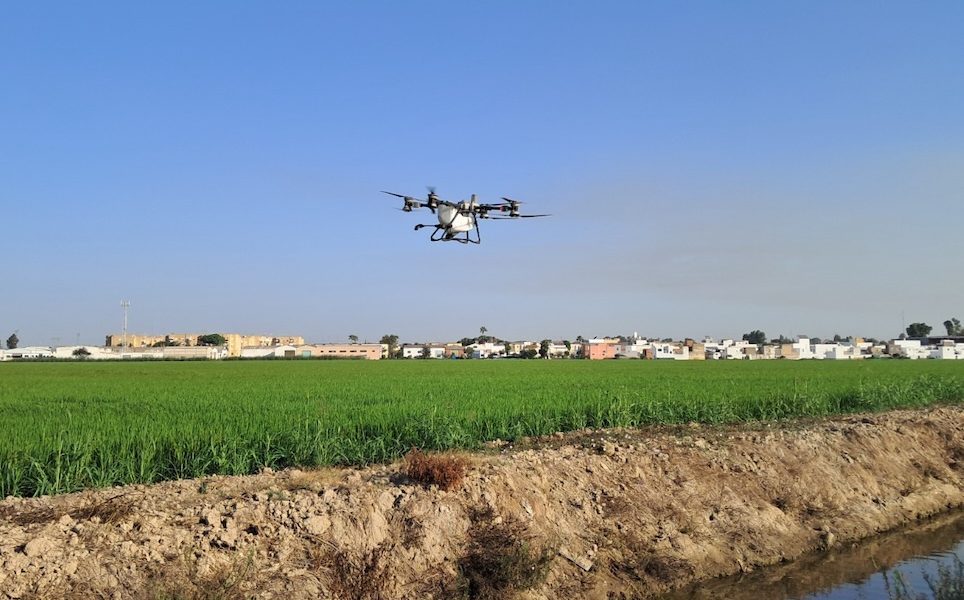 Virus del Nilo drones