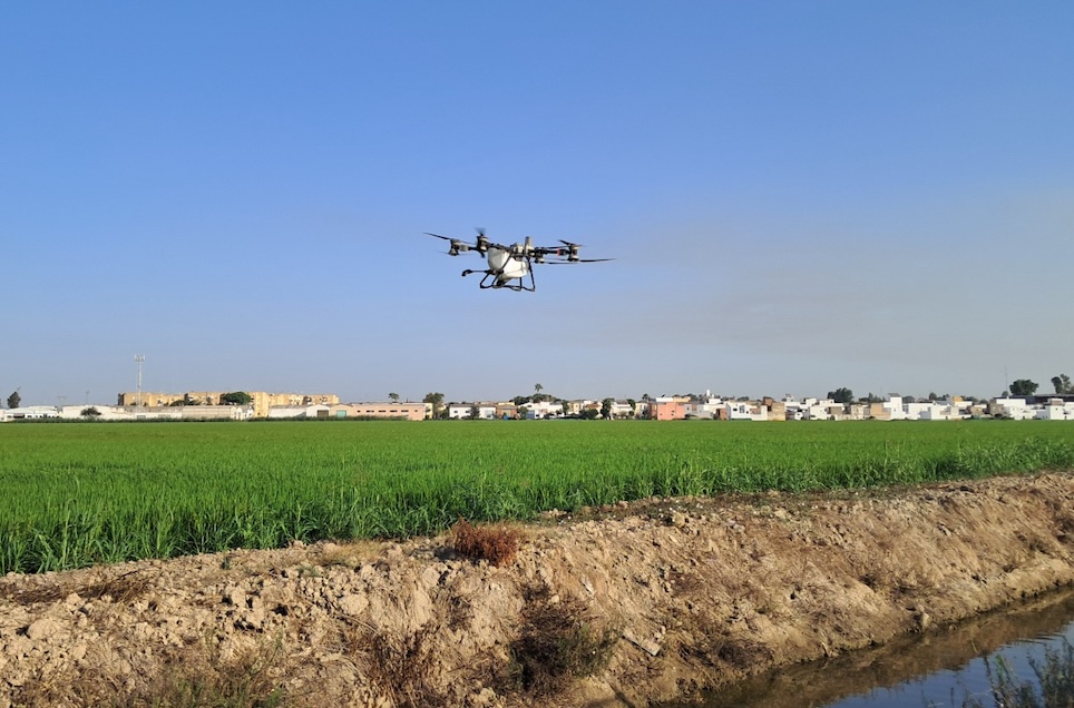 Virus del Nilo drones