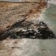 incendio contenedor huevar