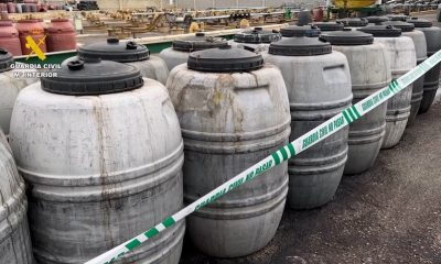 Aceitunas garrafas