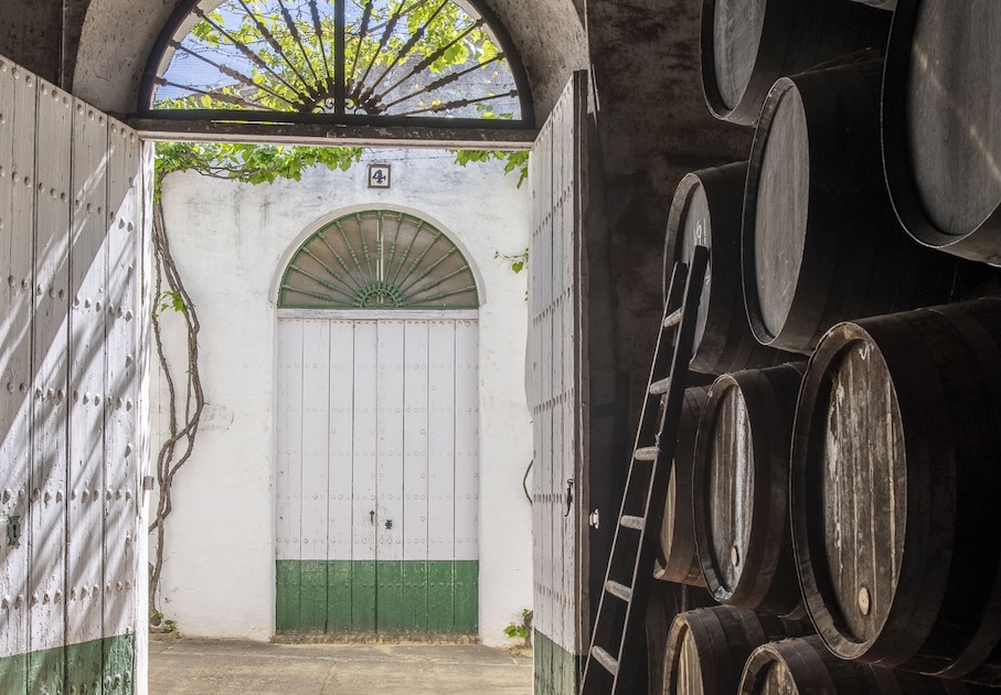 Bodegas gongora