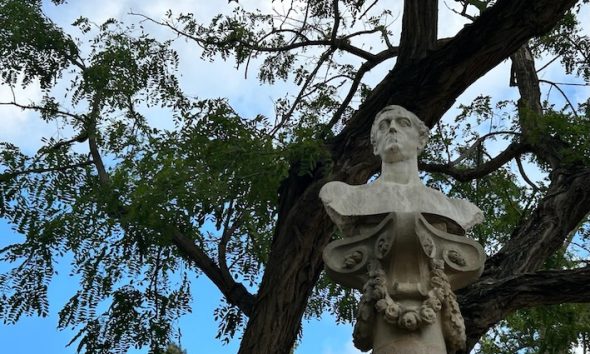 Estatua arboles