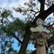 Estatua arboles
