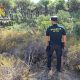 Guardia Civil