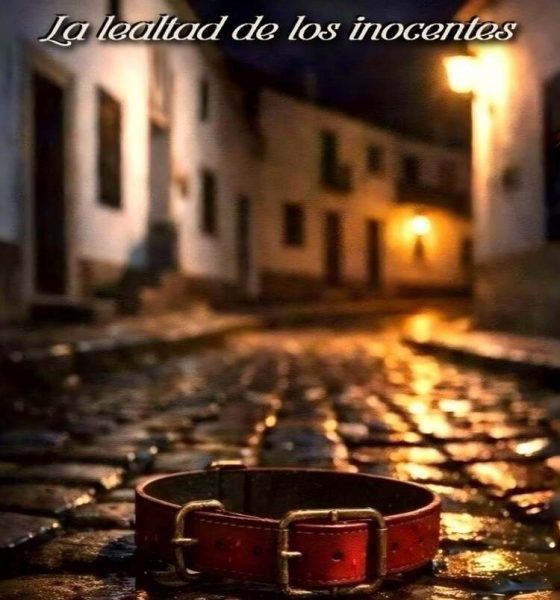 Libro Roberto la lealtad de los inocentes