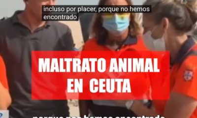 Maltrato animal Ceuta