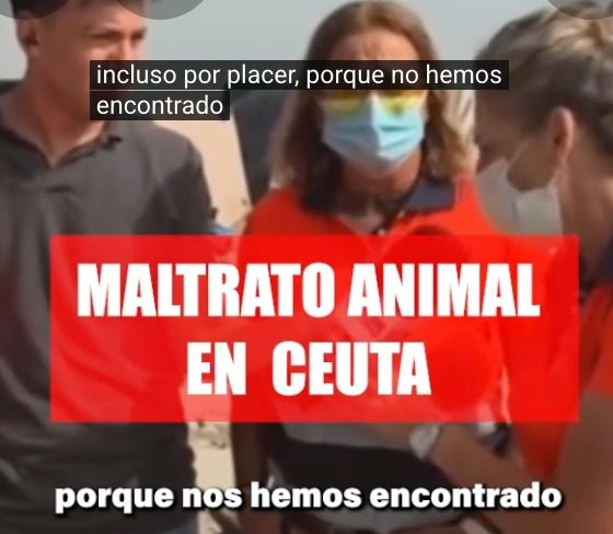 Maltrato animal Ceuta