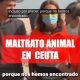 Maltrato animal Ceuta