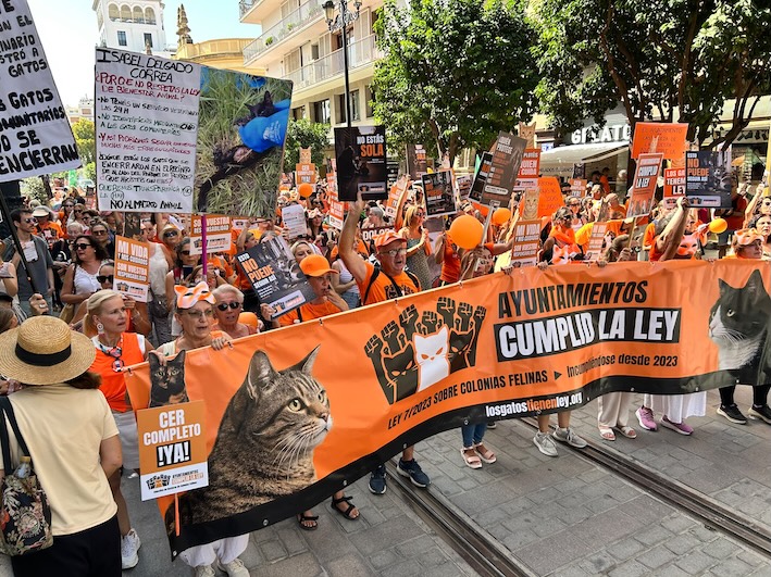 Manifestacion colonias gatos