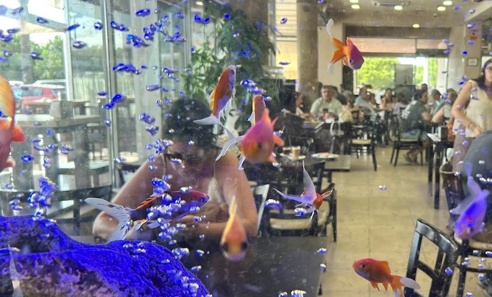 Pecera peces
