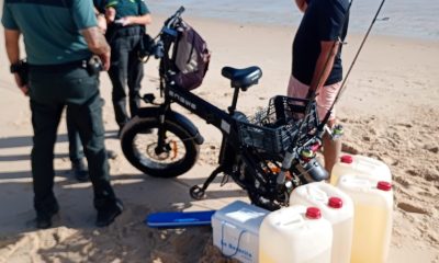 Petacas combustible