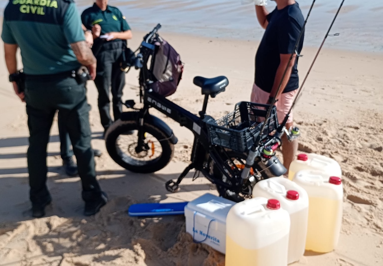 Petacas combustible