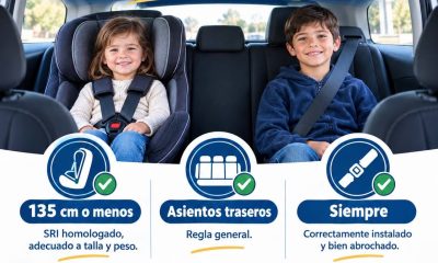 ninos coche cinturon