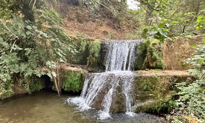 Cascada riachuelo Sierra