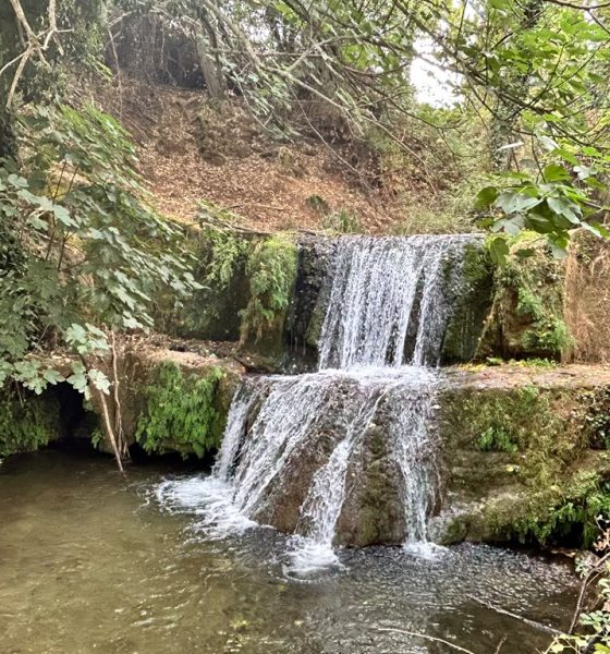 Cascada riachuelo Sierra