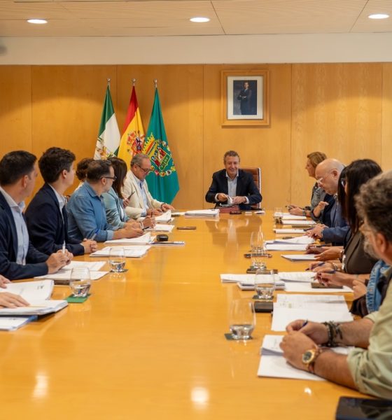 Diputacion junta de gobierno