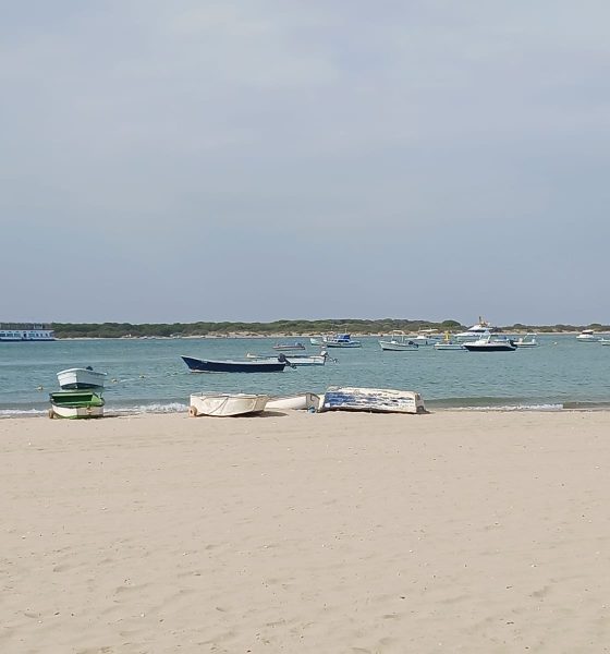 El rompido barcas