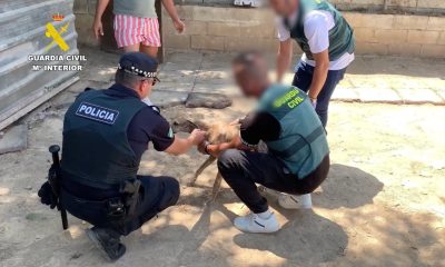 Guardia civil perro