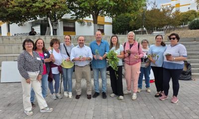 Plantas Pulpejo Arahal