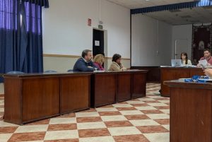 Pleno Huevar PP