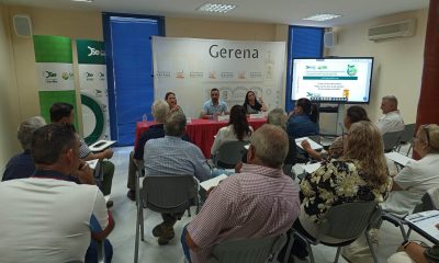 prodetur centro civico gerena jornadas